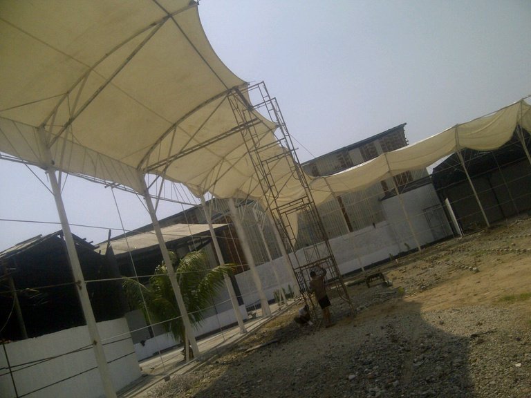 Foto Futsal Stadium – Mini Soccer Plumpang Jakarta di Mini Soccer Plumpang, Jakarta — SPORTS (foto 3) oleh Master Membran
